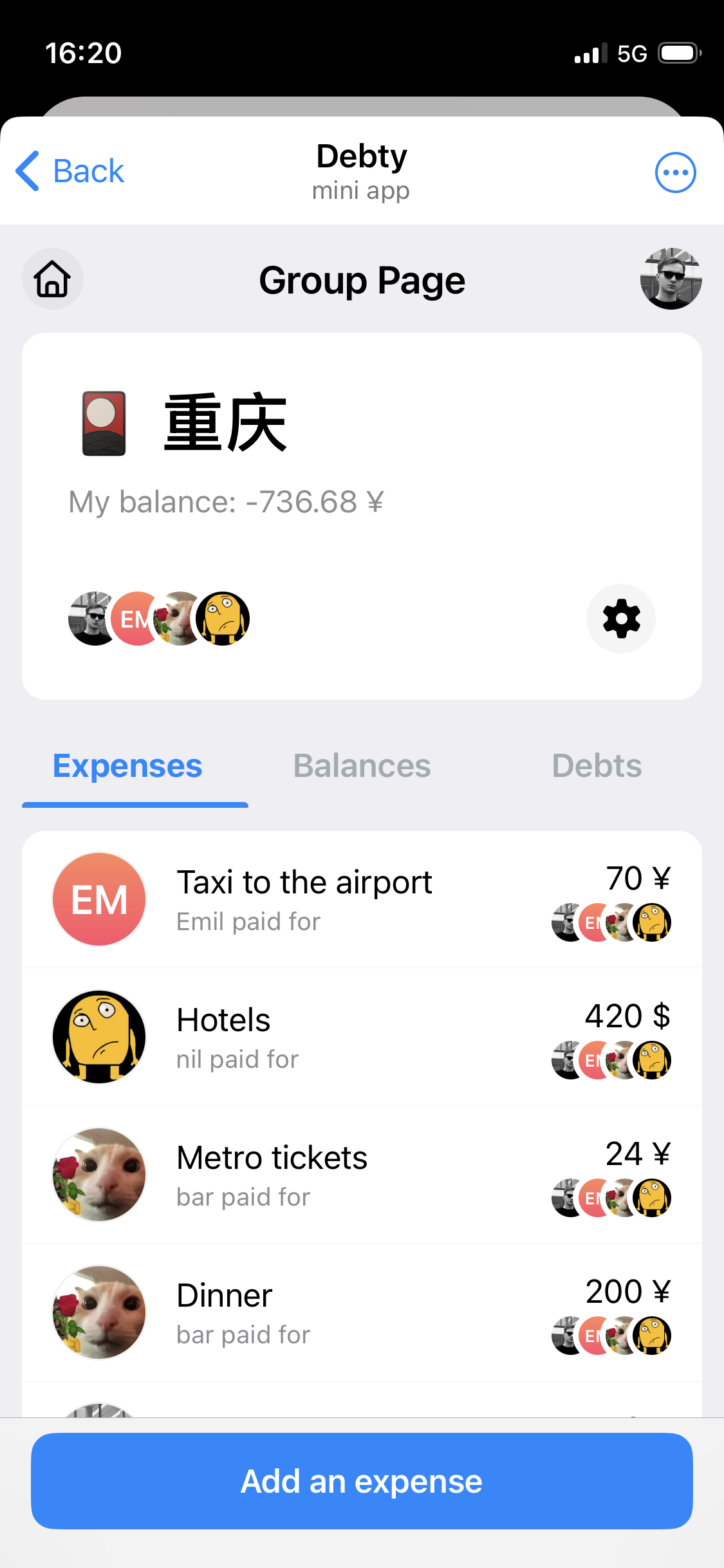 Group expenses